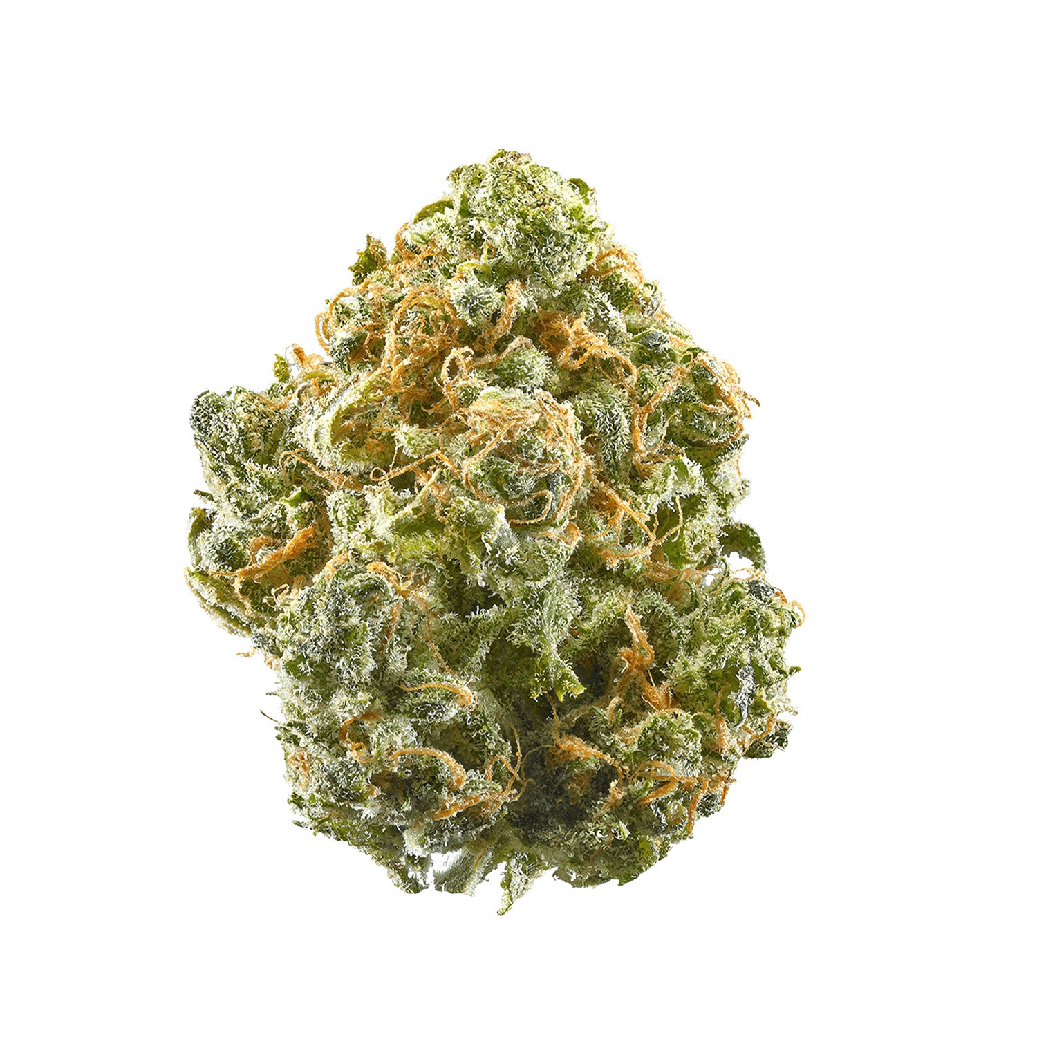 Blue Dream | Sativa