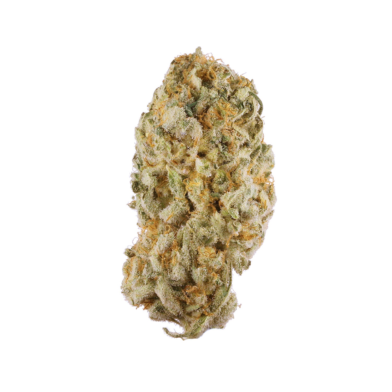 Jack Herer | Sativa