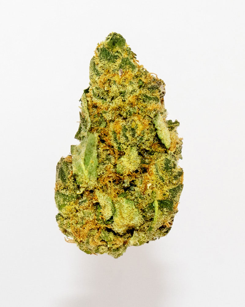 Jack Herer