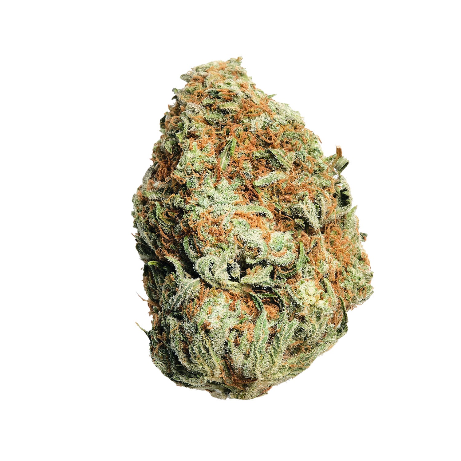 Sour Tangie | Sativa